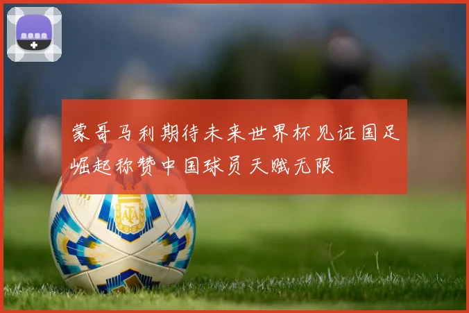 蒙哥马利期待未来世界杯见证国足崛起称赞中国球员天赋无限